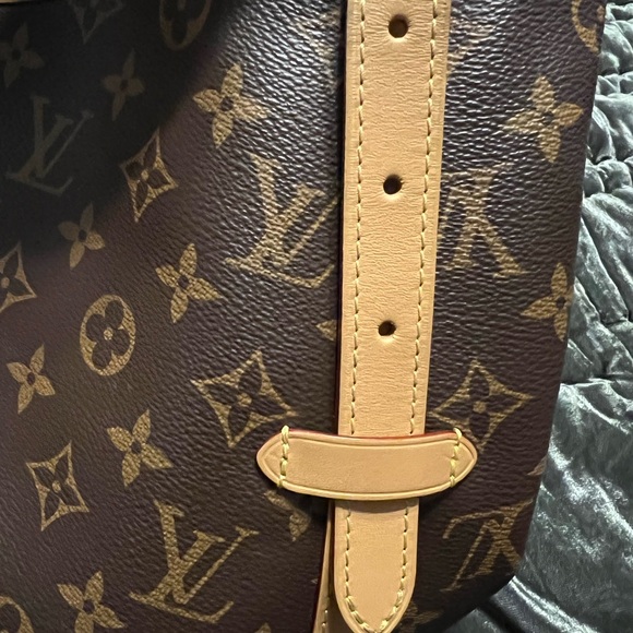 LV Carryall PM Bag - Picture 8 of 17